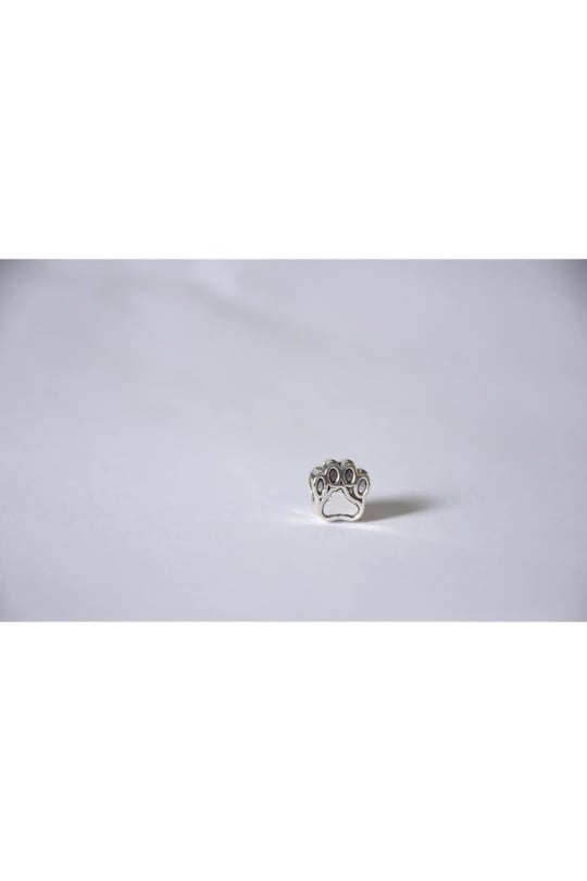 Pandora, Charm Bileklik Uyumlu, Gümüş, Charm takıNM254