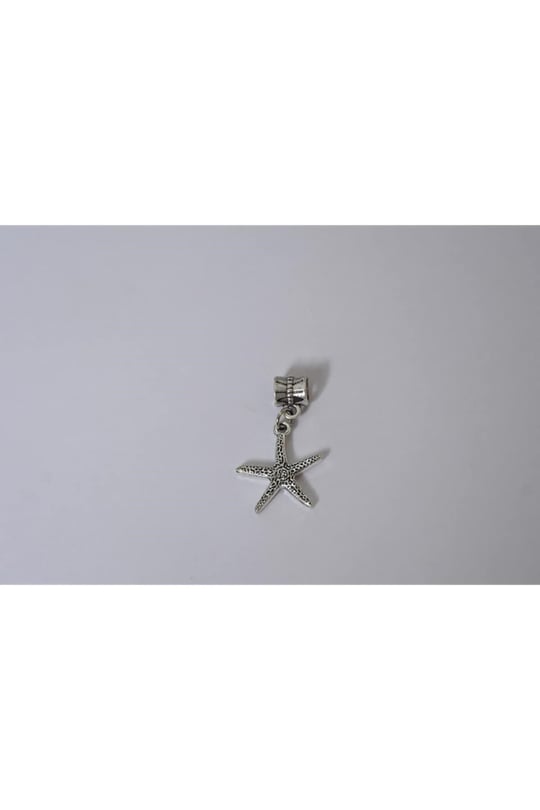 Pandora, Charm Bileklik Uyumlu, Gümüş, Charm takıNM239