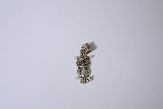 Pandora, Charm Bileklik Uyumlu, Gümüş, Charm takıNM250