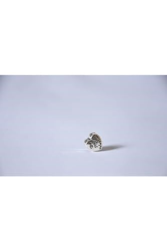 Pandora, Charm Bileklik Uyumlu, Gümüş, Charm takıNM260