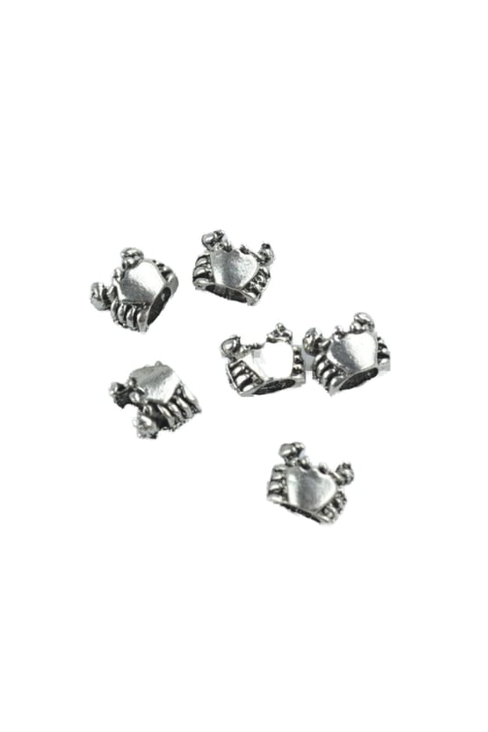 PANDORA CHARM BİLEKLİK UYUMLU GÜMÜŞ CHARM takıNM103