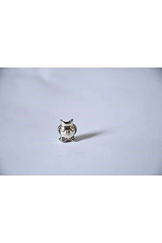 Pandora, Charm Bileklik Uyumlu, Gümüş, Charm takıNM200