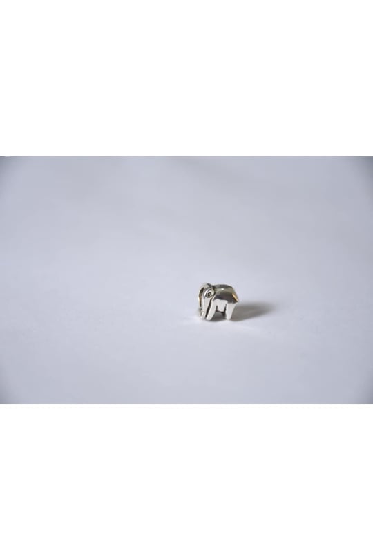 Pandora, Charm Bileklik Uyumlu, Gümüş, Charm takıNM174