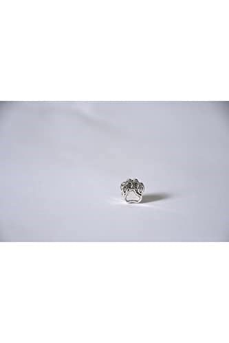 Pandora, Charm Bileklik Uyumlu, Gümüş, Charm takıNM254