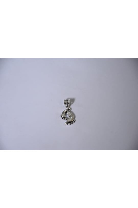 Pandora, Charm Bileklik Uyumlu, Gümüş, Charm takıNM147