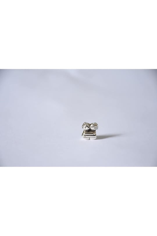 Pandora, Charm Bileklik Uyumlu, Gümüş, Charm takıNM148