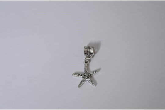 Pandora, Charm Bileklik Uyumlu, Gümüş, Charm takıNM239