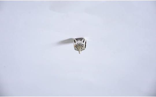 Pandora, Charm Bileklik Uyumlu, Gümüş, Charm takıNM157