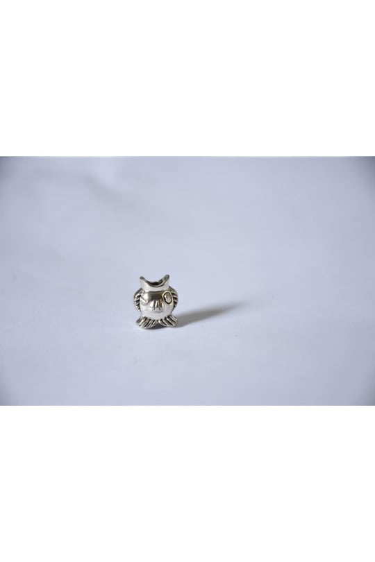 Pandora, Charm Bileklik Uyumlu, Gümüş, Charm takıNM200