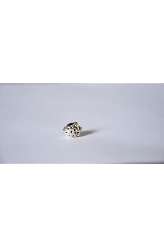 Pandora, Charm Bileklik Uyumlu, Gümüş, Charm takıNM284