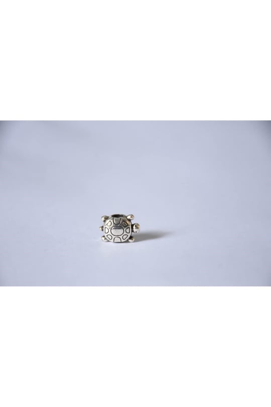 Pandora, Charm Bileklik Uyumlu, Gümüş, Charm takıNM298
