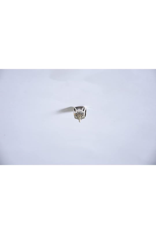Pandora, Charm Bileklik Uyumlu, Gümüş, Charm takıNM157