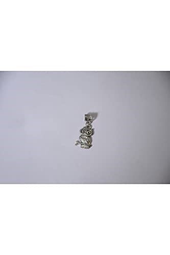 Pandora, Charm Bileklik Uyumlu, Gümüş, Charm takıNM160