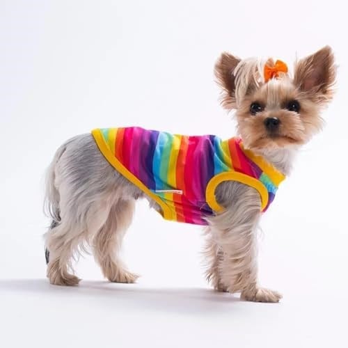 PawStar 26829 Rainbow Tişört - Bedenler: M, L, XL, XXL