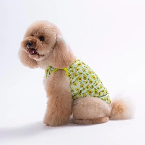 PawStar 26832 Avocado Tişört - Bedenler: L, XL, XXL