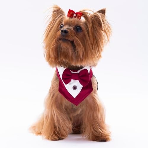 Pawstar Bordo Smokin Kedi/Köpek Fuları (1)