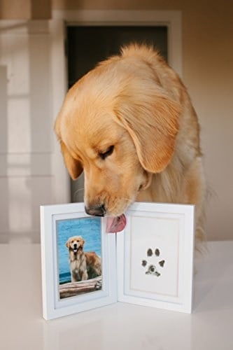 Pearhead Mürekkep Kitli Pet Masa Çerçevesi, Kendin Yap Dağınıklık Yok Pawprint Kiti, Evcil Hayvan Ebeveynleri İçin Hediye, Beyaz