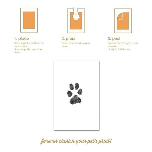 Pearhead Mürekkep Kitli Pet Masa Çerçevesi, Kendin Yap Dağınıklık Yok Pawprint Kiti, Evcil Hayvan Ebeveynleri İçin Hediye, Beyaz