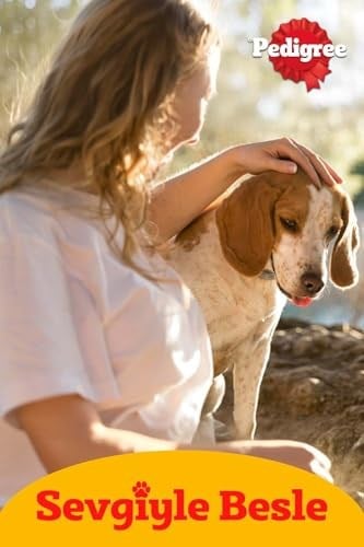 Pedigree Köpekler İçin Jumbone Sığır Etli Ödül Maması 160 G
