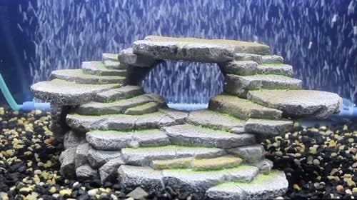 Penn-Plax Shale Step Ledge and Cave Hide-Out Akvaryum, Suni Reçine - Seçenekler: Medium (Pack of 1), Small (Pack of 1), Large