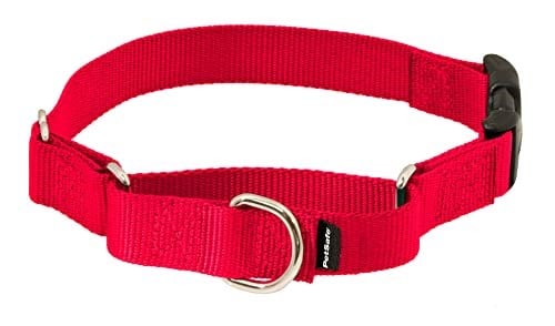 PetSafe Hızlı Kopçalı Martingale Yaka, 3/4