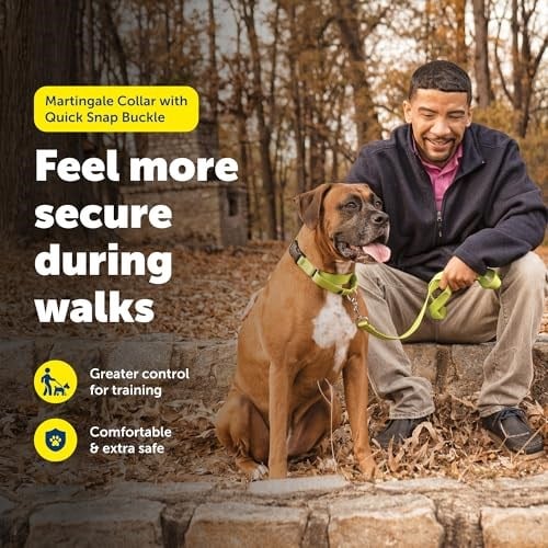 PetSafe Hızlı Kopçalı Martingale Yaka, 3/4