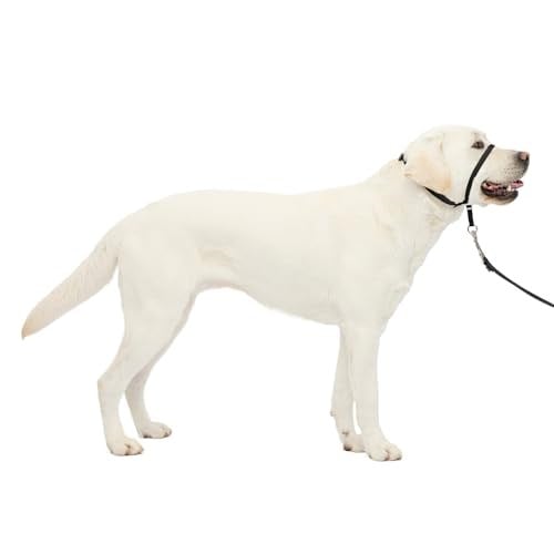 PetSafe Nazik Leader Baş Yaka, Çekmesiz Köpek Tasması, Büyük 27-59 kg, Siyah