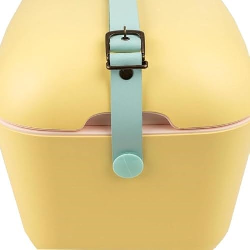 Polarbox Soğutma kutusu – soğutucu çanta, küçük, 20 l, kamp buzdolabı, derin dondurucu, mini soğutucu çanta, piknik ve plaj, araba