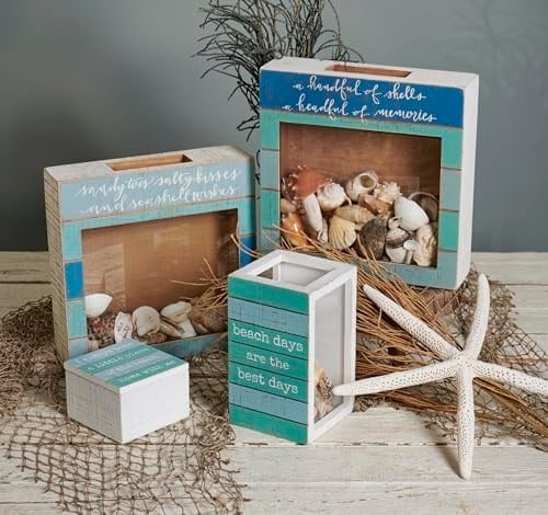 Primitives by Kathy A Handful Of Shells A Headful Of Memories Ev Dekoru Kabuk Tutucu