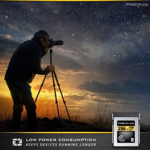 ProGrade Digital 256GB CFexpress Tip B Hafıza Kartı (Altın)