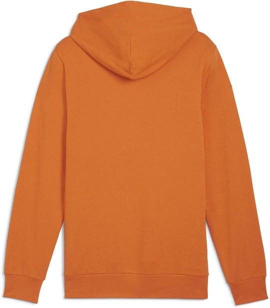 Puma Better Essentials Hoodie Erkek Günlük Sweatshirt Better Essentials