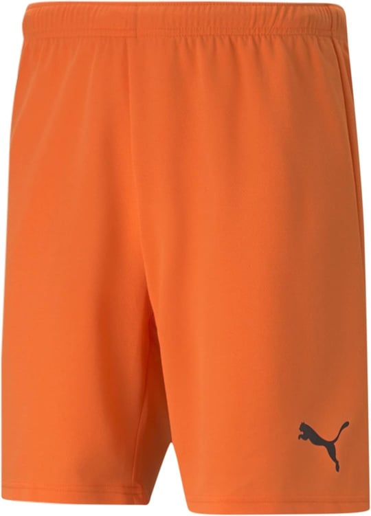 PUMA Erkek şortu,