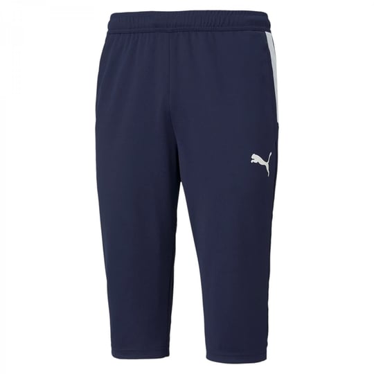 PUMA Erkek Teamliga Training 34 Pantolon