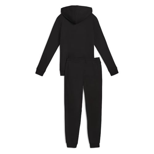 PUMA Hooded Sweat Suit Fl Cl örgü takım elbise Kadın