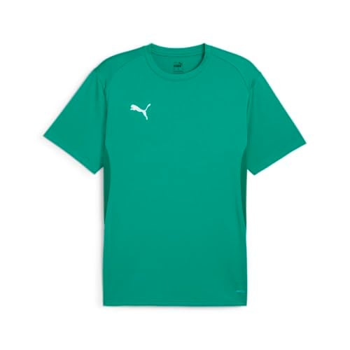 PUMA Teamgoal Jersey Tişörtler Erkekler