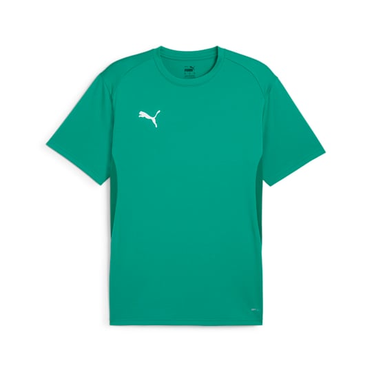 PUMA Teamgoal Jersey Tişörtler Erkekler