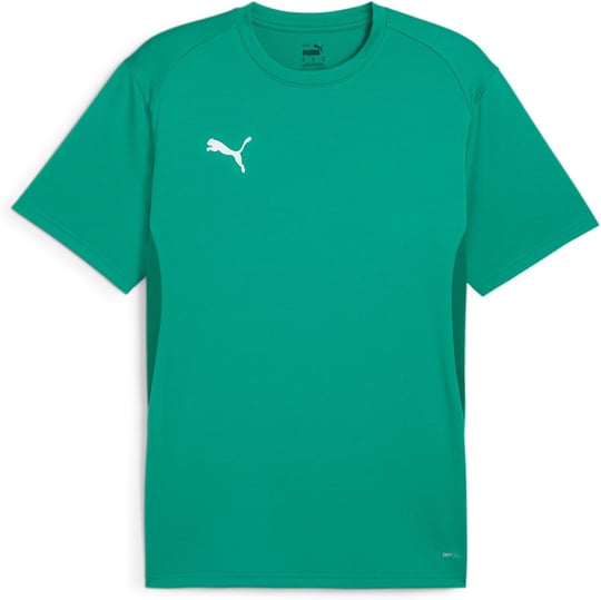PUMA Teamgoal Jersey Tişörtler Erkekler