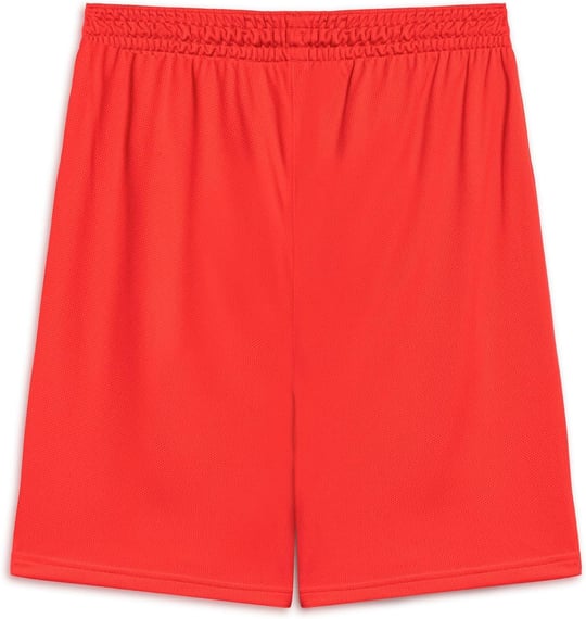 Puma Turkey Practice Short Erkek Türkiye Basketbol 60547202 Kırmızı
