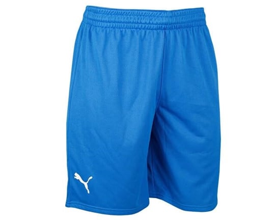 Puma Turkey Practice Short Erkek Türkiye Basketbol Şortu 60547201 Mavi - Bedenler: 2XL, 3XL, S, M, L, XL