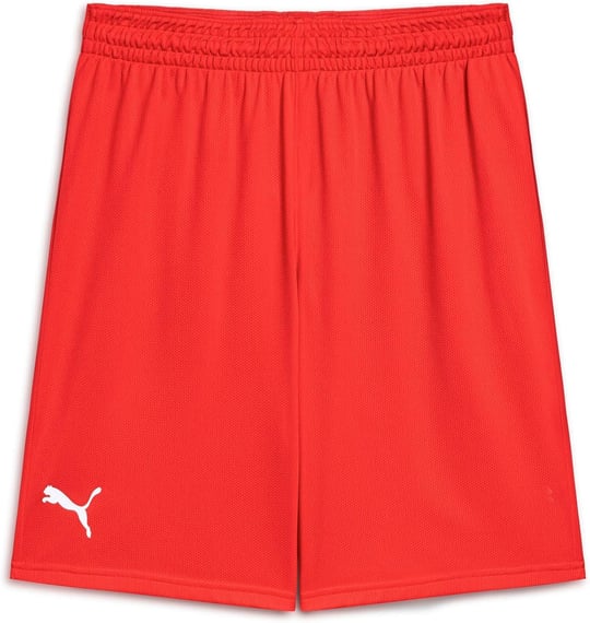 Puma Turkey Practice Short Erkek Türkiye Basketbol 60547202 Kırmızı