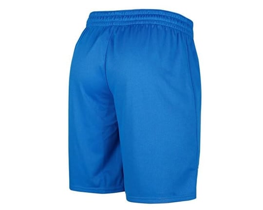 Puma Turkey Practice Short Erkek Türkiye Basketbol Şortu 60547201 Mavi - Bedenler: 2XL, 3XL, S, M, L, XL