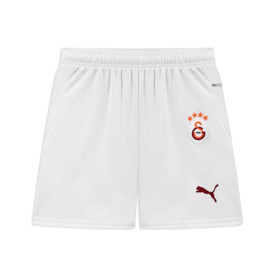 Puma Unisex Futbol Shorts 779673