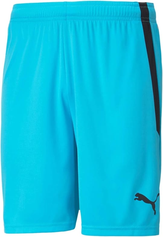 PUMA Unisex Teamliga Short