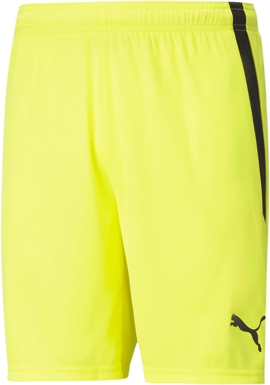 PUMA Unisex Teamliga Short