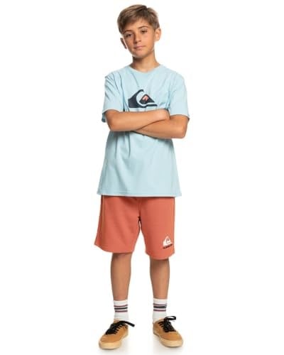Quiksilver Comp Logosu Tişört Erkek çocuk