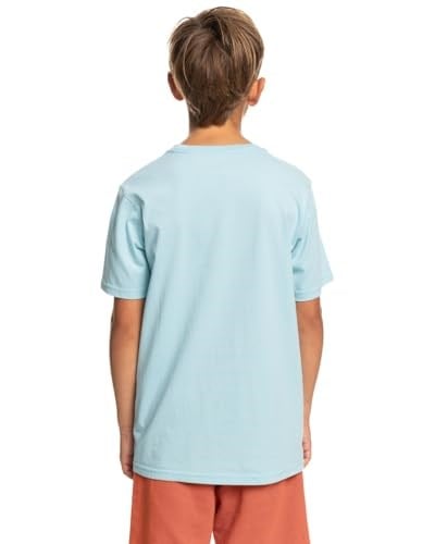 Quiksilver Comp Logosu Tişört Erkek çocuk