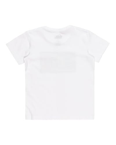 Quiksilver DAY TRIPPER SS BOY Tişört Erkek çocuk