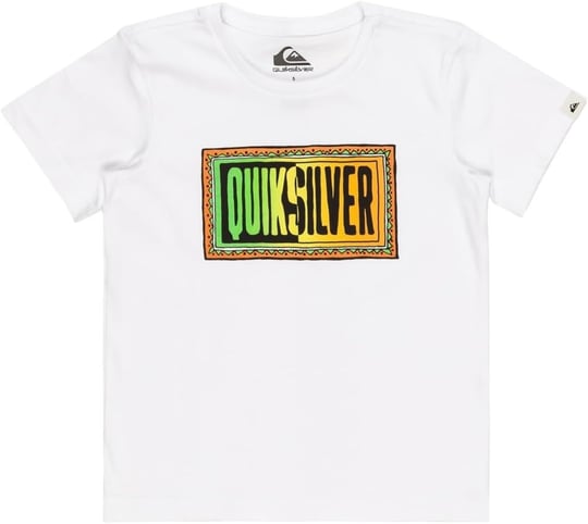 Quiksilver DAY TRIPPER SS BOY Tişört Erkek çocuk