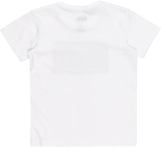 Quiksilver DAY TRIPPER SS BOY Tişört Erkek çocuk