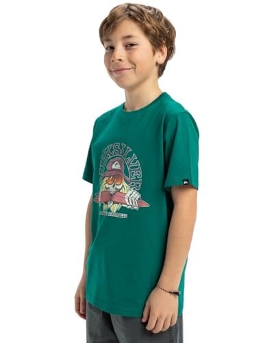 Quiksilver Ev Skull Feast SS YTH Erkek Çocuk Tişörtü (1li Paket)